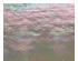 218921_2 thumbnail image