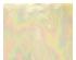 219017_1 thumbnail image