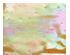 219033_1 thumbnail image