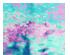 219073_1 thumbnail image
