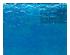 219097_3 thumbnail image