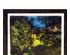 219143_5 thumbnail image