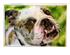 219148_5 thumbnail image