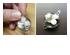 219210_1 thumbnail image