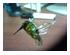 219210_2 thumbnail image