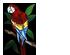 220020_1 thumbnail image