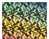 221655_1 thumbnail image