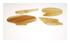 221750_1 thumbnail image