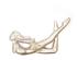 221902_1 thumbnail image