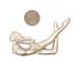 221902_2 thumbnail image