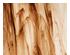 222118_1 thumbnail image