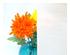 222122_3 thumbnail image