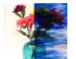 222138_3 thumbnail image
