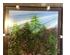 222287_2 thumbnail image
