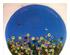 222291_2 thumbnail image