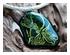 222291_4 thumbnail image