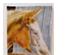 222297_2 thumbnail image