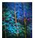 222298_4 thumbnail image