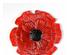 223265_5 thumbnail image
