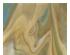 223838_1 thumbnail image
