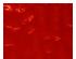 224269_2 thumbnail image