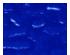 224327_2 thumbnail image