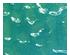 224339_2 thumbnail image