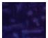 224387_2 thumbnail image
