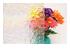 224625_1 thumbnail image
