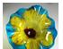 224648_5 thumbnail image