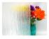 224658_8 thumbnail image