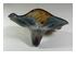 224668_7 thumbnail image