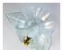 224668_8 thumbnail image