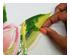 224740_3 thumbnail image