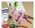 224740_5 thumbnail image