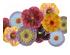 226092_6 thumbnail image