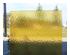 226279_1 thumbnail image