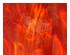 226341_2 thumbnail image