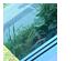 226461_5 thumbnail image