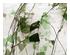 227212_1 thumbnail image