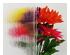 227298_2 thumbnail image