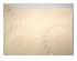 227328_4 thumbnail image