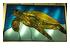 227460_4 thumbnail image