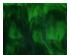 227682_3 thumbnail image