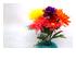 227919_2 thumbnail image
