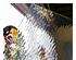 227919_5 thumbnail image