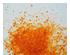 228164_2 thumbnail image
