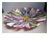 229091_4 thumbnail image