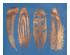 229632_1 thumbnail image