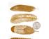229634_1 thumbnail image